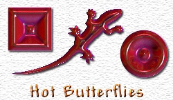OMS Hot Butterflies