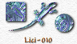 OMS Lici 10