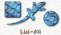 OMS Lici 11