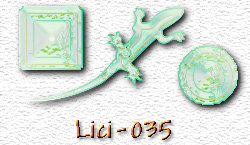 OMS Lici 35