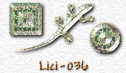 OMS Lici 36