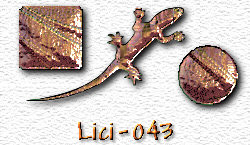OMS Lici 43