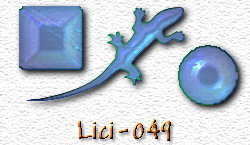 OMS Lici 49