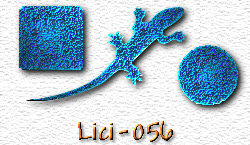 OMS Lici 56