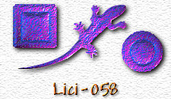 OMS Lici 58