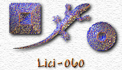 OMS Lici 60