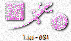 OMS Lici 81