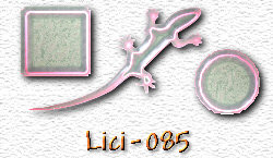 OMS Lici 85