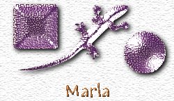 OMS Marla