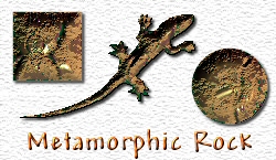 OMS Metamorphic Rock