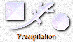 OMS Precipitation
