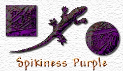 OMS Spikiness Purple