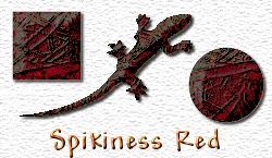 OMS Spikiness Red