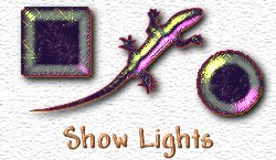 OMS Show Lights