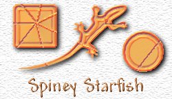 OMS Spiney Starfish