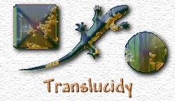 OMS Translucidy