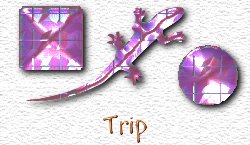 OMS Trip