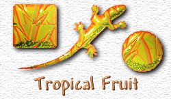 OMS Tropical Fruit