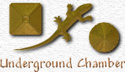 OMS Underground Chamber