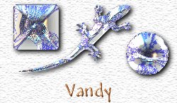 OMS Vandy
