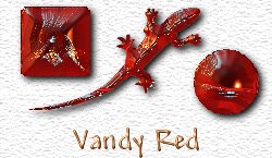 OMS Vandy Red