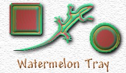 OMS Watermelon Tray