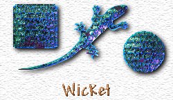 OMS Wicket