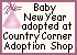 Baby New Year Certificate