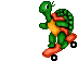 Tommy Turtle