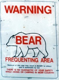 Bear Warning