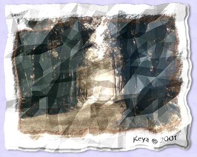 Wrinkled Photo ~ Crumple Filter