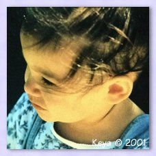 Original Lici