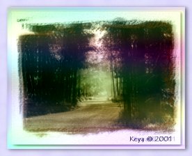 Wilson Road, Wilson WY ~ Television Filters