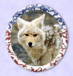 Flag Oval ~ SORRY, THIS FRAME IS CURRENTLY OUT OF STOCK