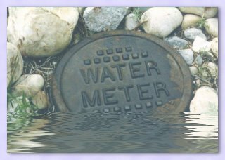 Water Meter After the Flood