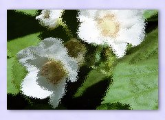 KPT Pixelate Filter