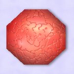 Shape Shifter ~ Wormrot Red