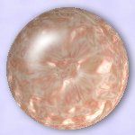 OMS Carnation Gel Map