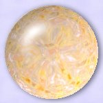 OMS Purple Mums Gel Map