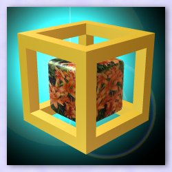 Orange flowers on a cube inside a crate