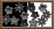Grey Scale Flowers